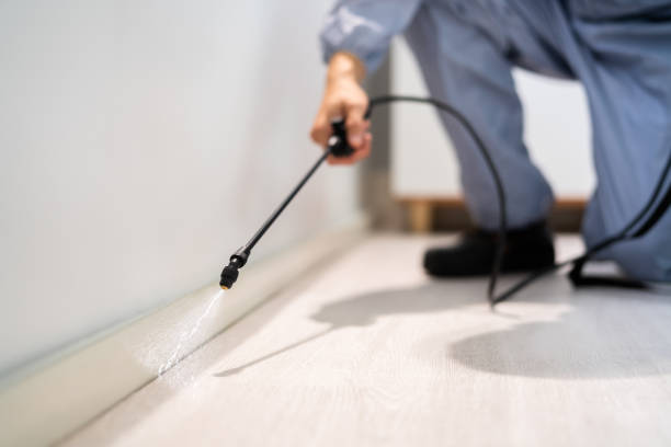 Licensed Pest Control service in West Portsmouth, OH - Show Me Pest Control