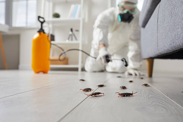Post-Treatment Bed Bug Interceptor Monitoring in West Portsmouth