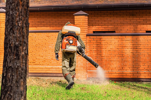 Bed Bug Clearance Verification and Documentation in West Portsmouth